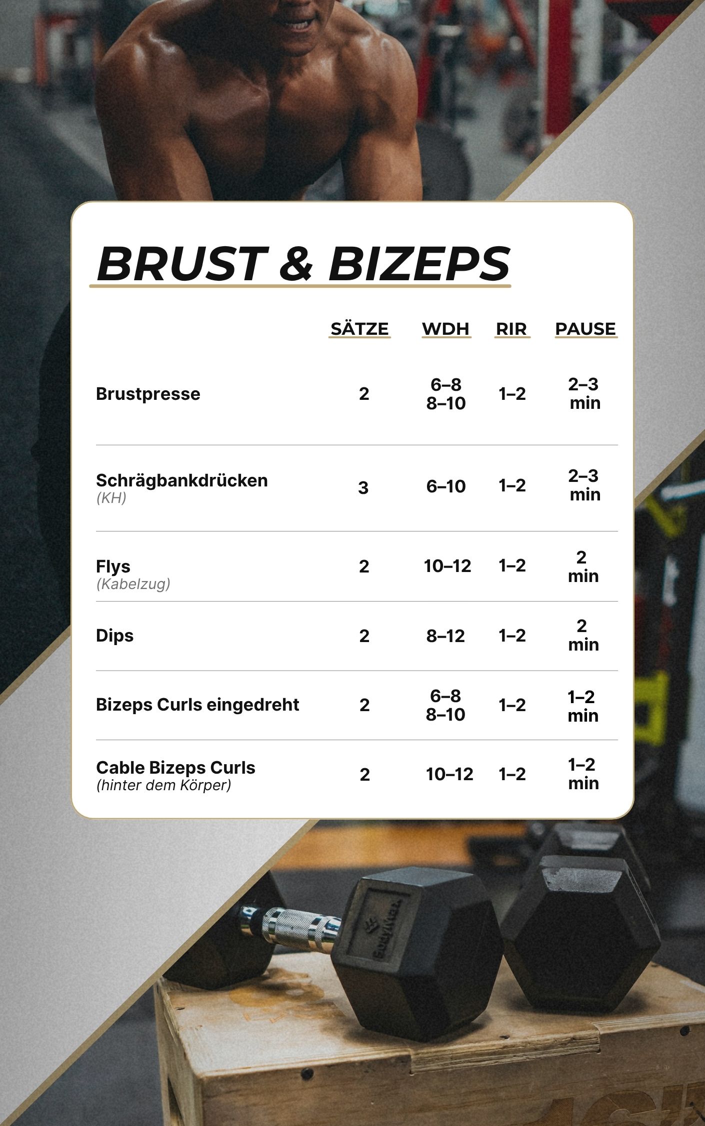 Trainingsplan Vorschau Seite 2