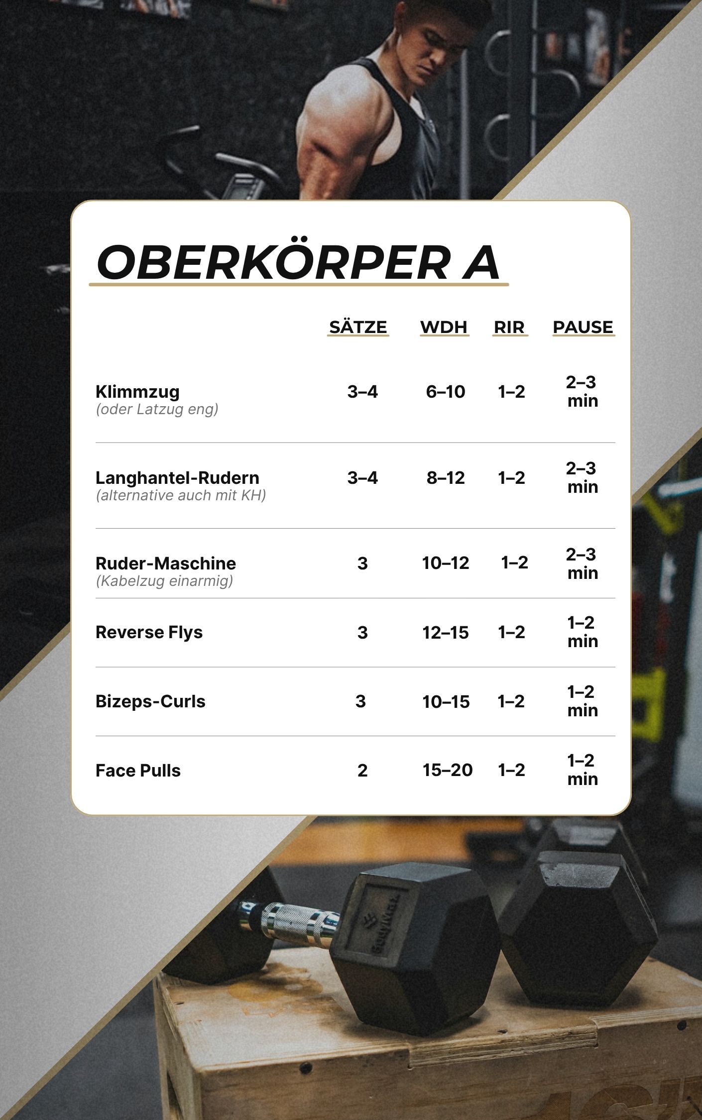 Trainingsplan Vorschau Seite 2