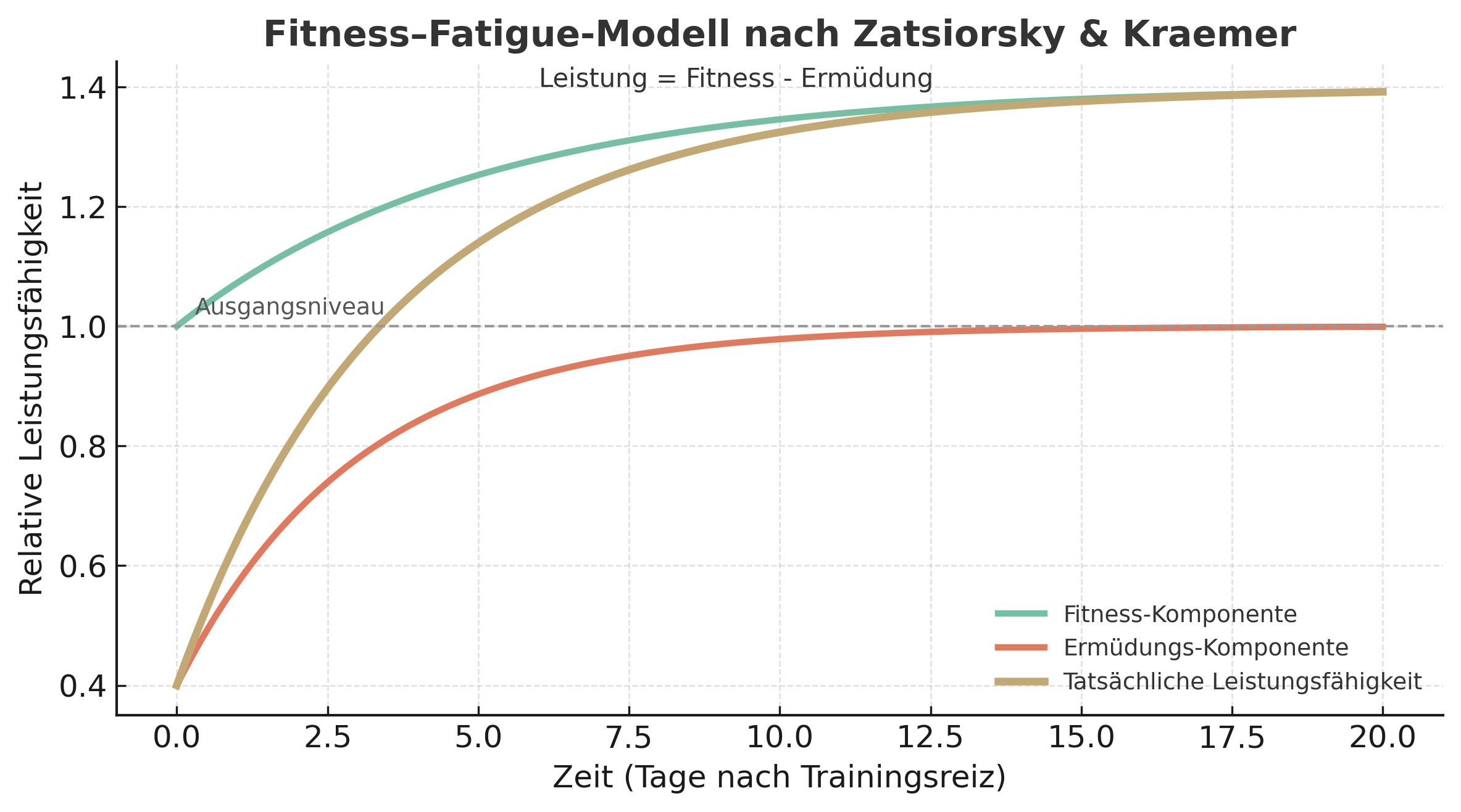 Diagramm: Fitness-Fatigue – gegenläufige Kurven von Fitness und Ermüdung