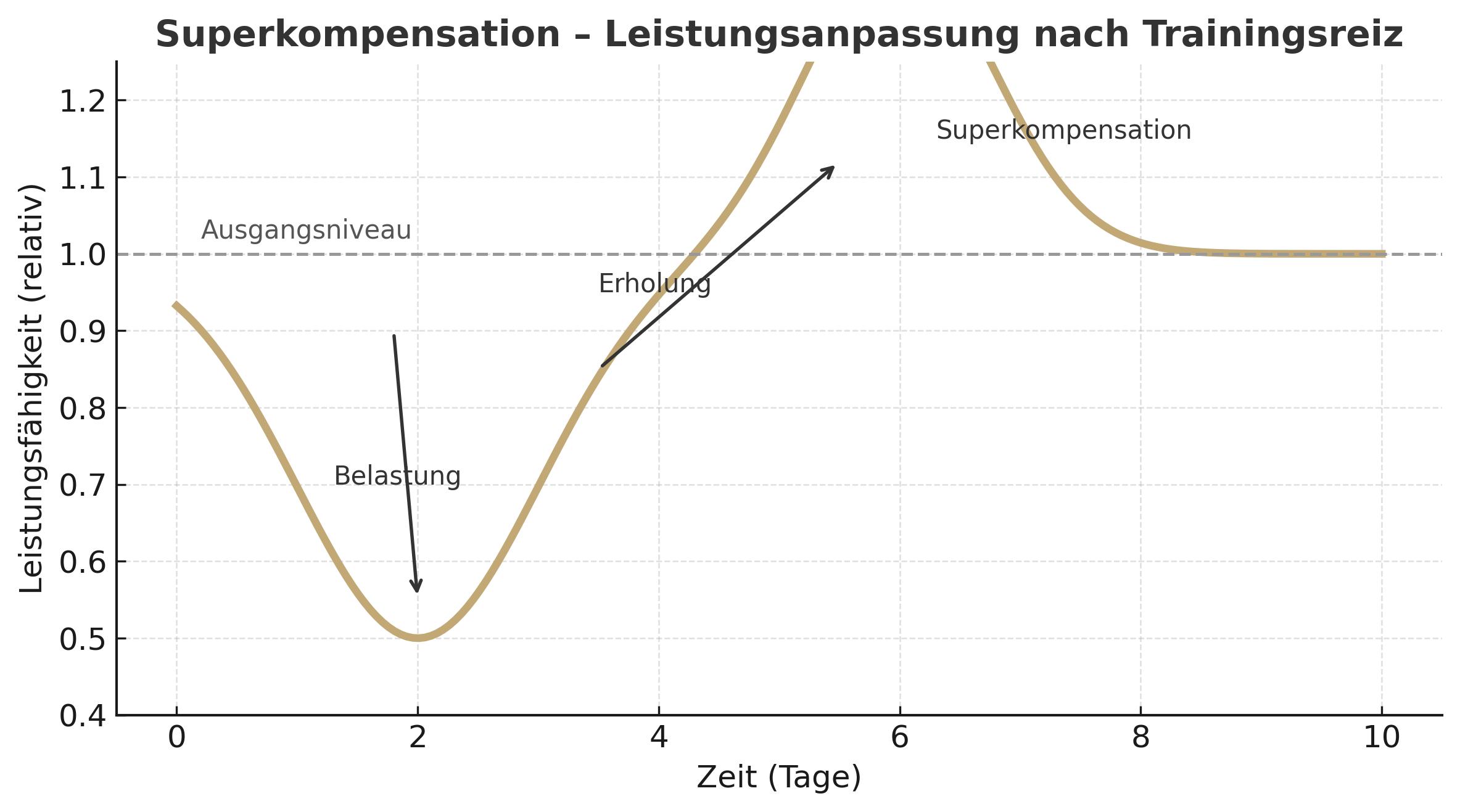 Diagramm: Superkompensation – Leistungsabfall, Erholung, Überkompensation